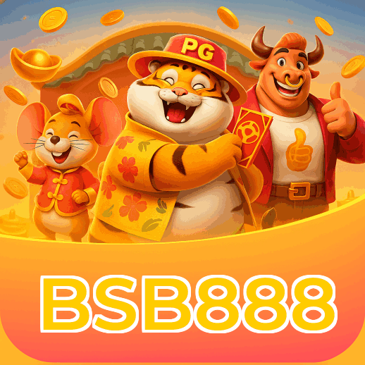 Termos e Condições Transparentes BSB888